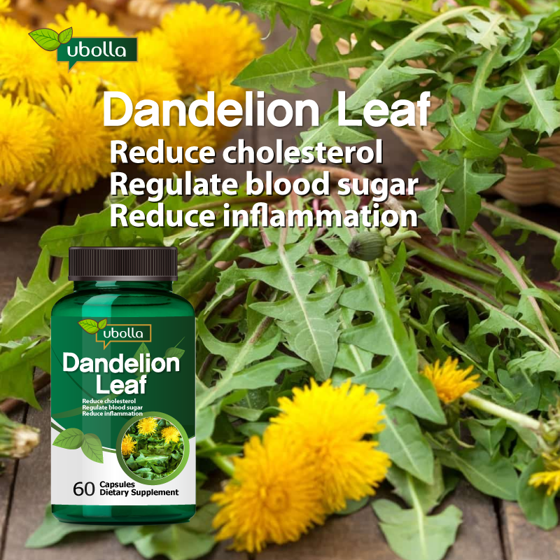 Dandelion Leaf