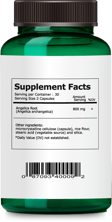 Angelica Root
